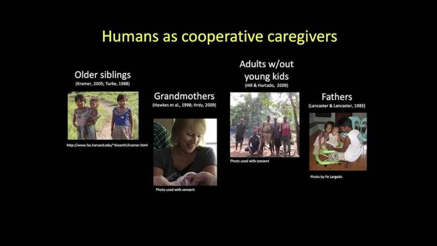 UCTV: CARTA: The Biology of Fatherhood in Humans: Evolutionary Origins and Cross-Cultural Perspectives with Lee Gettler