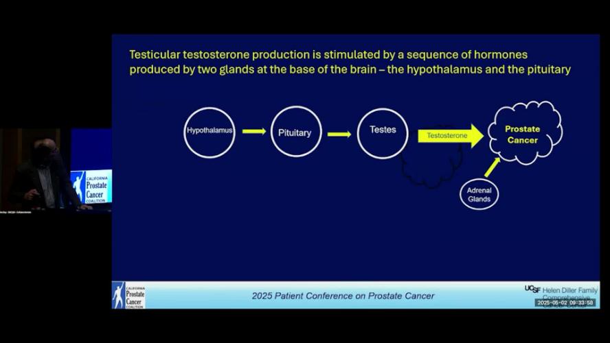 UCTV: Prostate Cancer: The ABCs of Androgen Deprivation Therapy