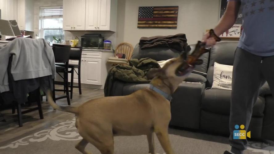 SEVA TV Season 8 - Episode 8