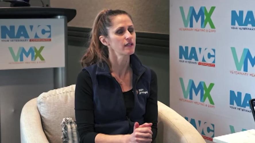 Canine Longevity 103: Canine & Activity