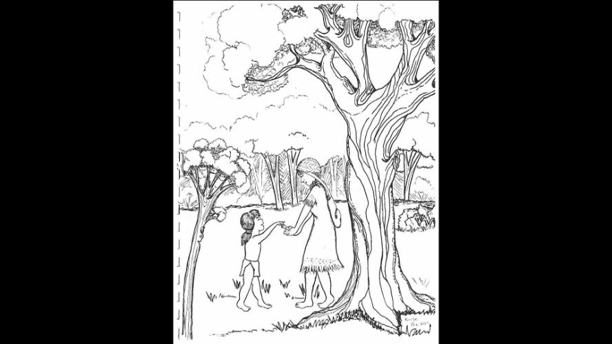 Center JUSD: The Story Of The Center Unified School District