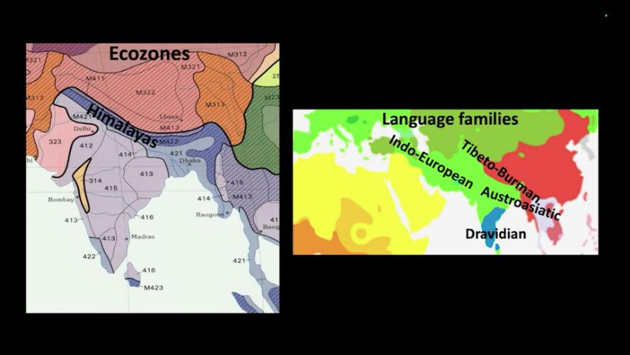 UCTV: CARTA: Genetic History of Humans and Animals in South Asia with Maanasa Raghavan