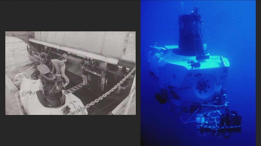 Science How? A Century of Discovery of Sea Urchins and Relatives with Zoologist Dave Pawson