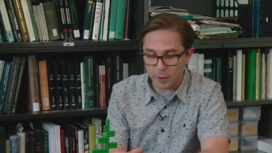 Smithsonian: Science How? Fern Life Cycle and Biodiversity