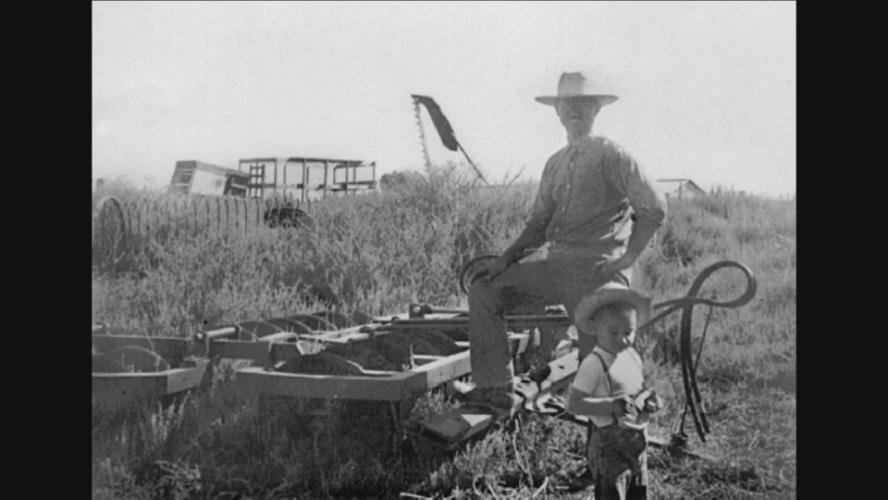 Smithsonian: Science How? Plant and Insect Relationships