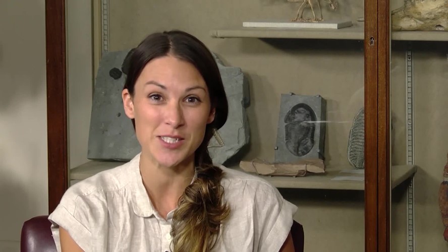 Smithsonian: Science How? How Bones Fossilize