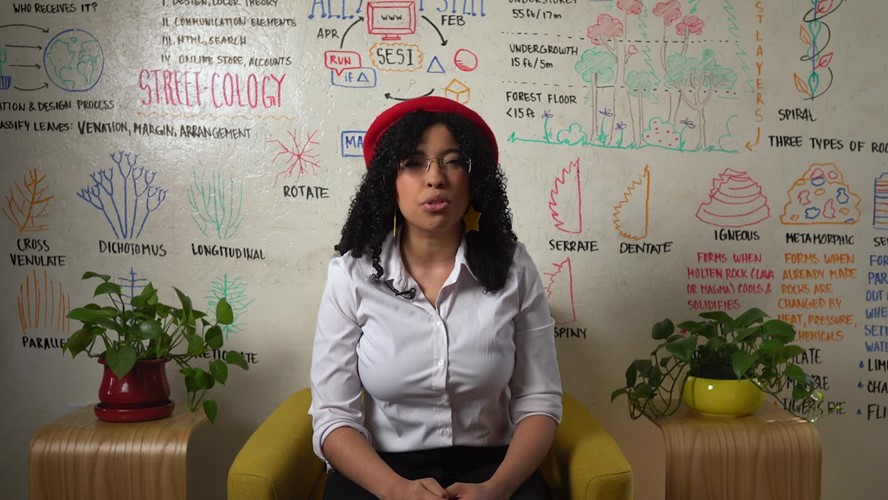 Square Root Academy: Your Local Ecosystem – Lesson 1