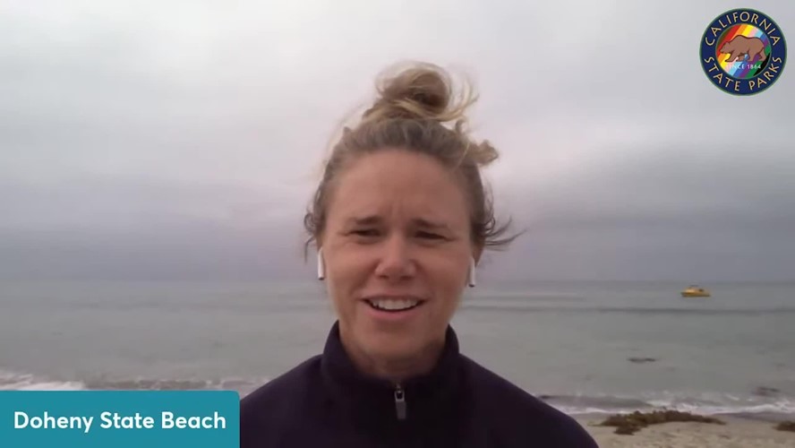 PORTS: State Parks Careers - LIVE from the Surfwatch Boat