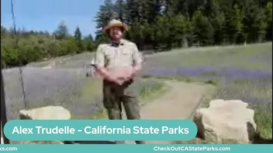 PORTS: Poetry in the Park!